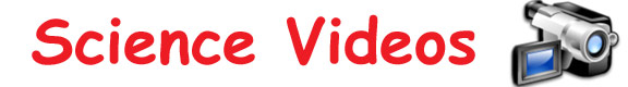 Science Videos